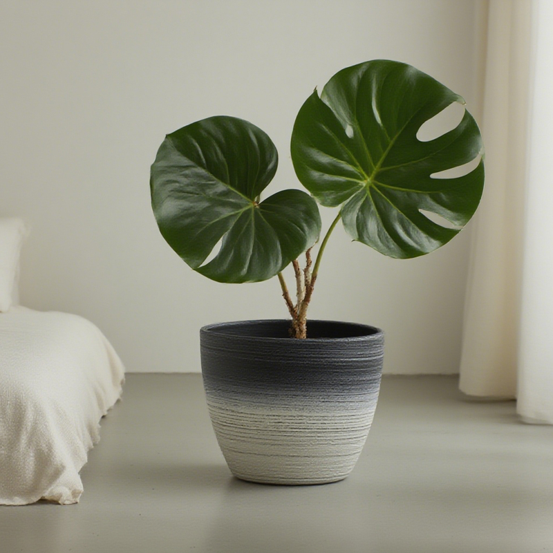 Maceta redonda con chorro de arena y dibujo lineal de dos colores