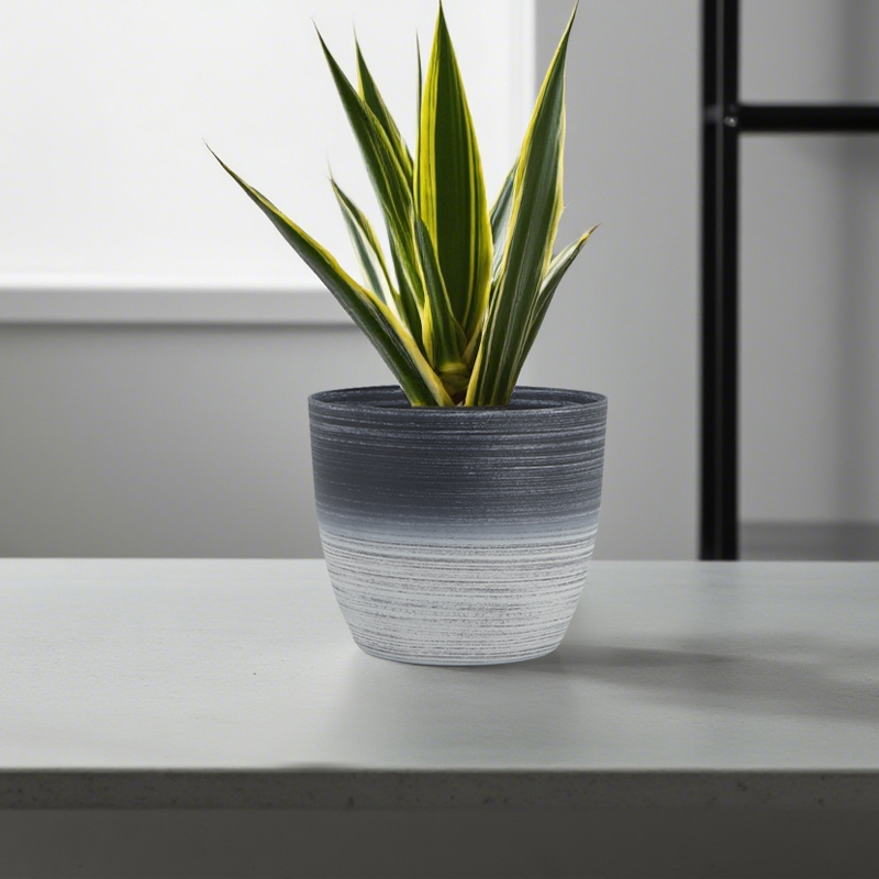 Maceta redonda con chorro de arena y dibujo lineal de dos colores