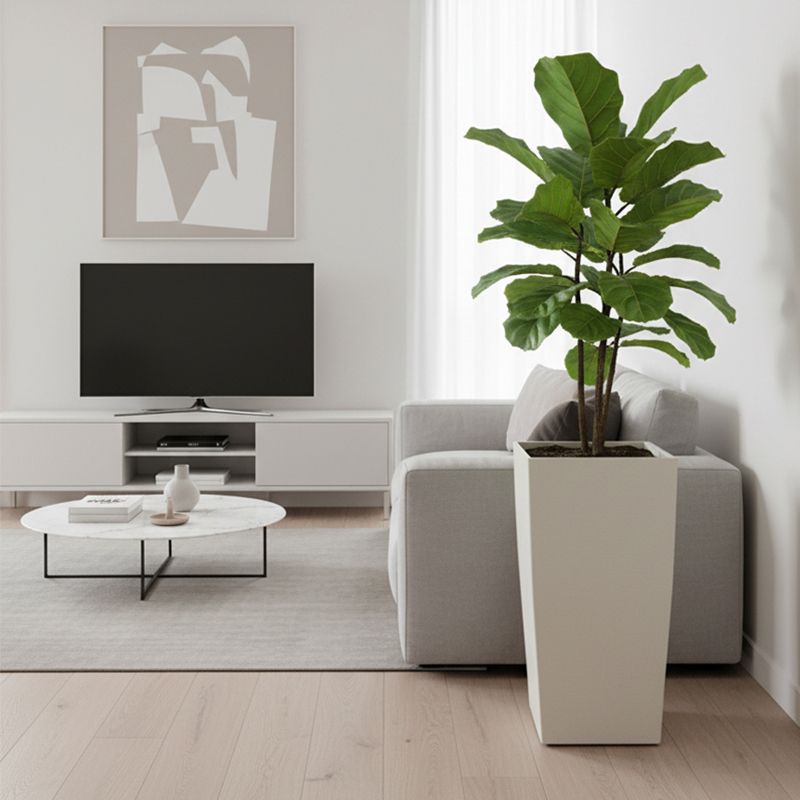 Maceta cuadrada moderna de plástico con textura similar al yeso