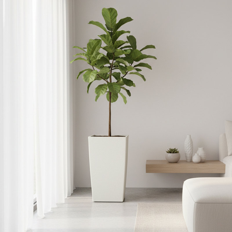 Maceta cuadrada moderna de plástico con textura similar al yeso